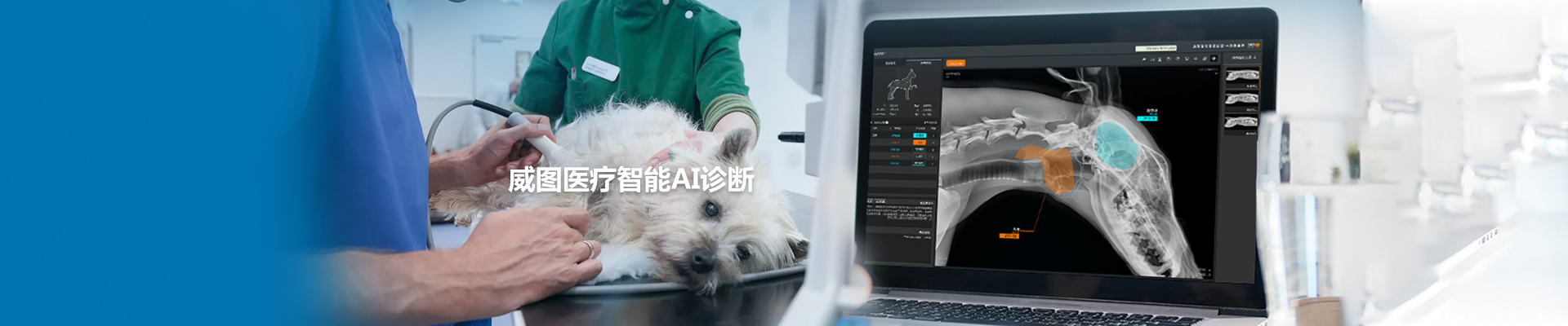 应用案列