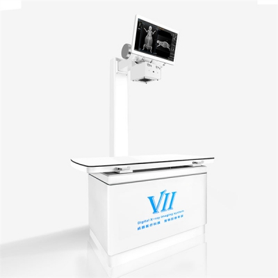 DX-VF1